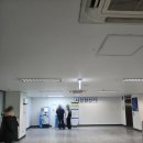 안성맞춤시장 | 내돈내산 노량진 수산시장 방어 감성돔 맛집 영광상회 후기