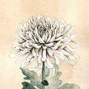 사사학교 이미지