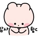 판교해링턴공인중개사사무소 이미지