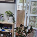 청담안마지압원 | 청담역 근처에서 종아리 쥐나던 증상까지 싹 잡힌 지압원, 정통안마지압원 후기