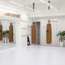 체형교정 태권도 이미지