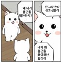 봄인데.. 나만 안봄이야.. 일단 축구는 좀 보고 생각해보자?