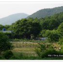 은하수농장 이미지