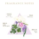 바이칼허브 | 최화정 왓츠인마이캐리어 : 캄봇후추, 납작복숭아 병조림, 산타마리아노벨라, 불리, 유스트 등