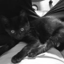 큰나무농장 이미지