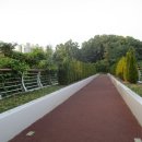 헝클머리 이미지