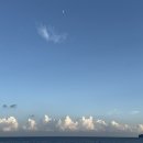 베어포레스트 스테이 이미지