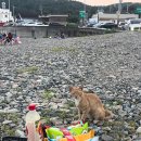 지에스(GS)25울산덕신동백 | 부산 이색 데이트 장소 [기장 동백 방파제] 차박 차크닉 추천!