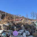 [동해 여행] - 동해 봉봉카라반 민트 내돈내산 후기