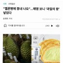 (주)두리안서비스 | 멜론빵에서 '똥내' 진동? 알고 보니 '과일의 왕' 두리안이 범인!