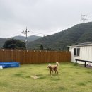 감귤박물관 야외화장실 이미지