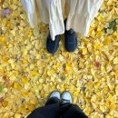 올림픽공원-한성백제박물관 | 서울 단풍명소 추천 I 올림픽공원 한성백제박물관 가는법 &amp; 위치