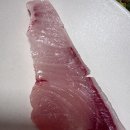 부자횟집 | 가락(수산)시장 횟집 추천 [온달수산]