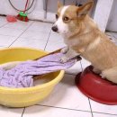 자성농장 이미지