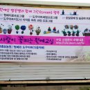 복농원 Daum카페