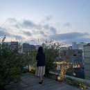 타인의 일상은 위로가 된다