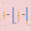 허한의원 이미지