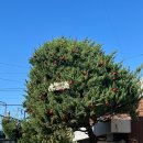 신흥철물공구 이미지