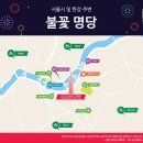 어제 잠실 불꽃축제 사진들 이미지