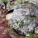 상관 공기마을 편백숲 이미지