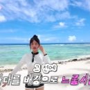 아이브래쉬