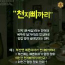 사투리 이미지