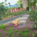 부산북부소방서(금곡119안전센터) | 부산 북구 기찻길 옆 포레일 가든&예쁜 꽃길 금곡 꽃 박물관 접시꽃 길 걸어봐요.