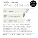 심지팩토리
