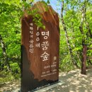 곰배령새소리 이미지