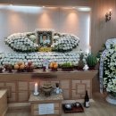 용호동027 이미지