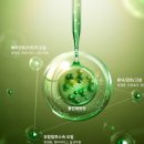 원성경희한의원 이미지