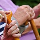 기본 생활보조금에 의존하는 독일 노인인구 급격히 증가 이미지