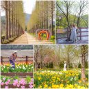 선바위관광지관광안내소 | 충남 예산 가볼만한곳 관광택시 1박2일 여행코스 추천 예산시장 백설농부 살목지