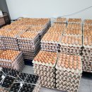 유정농장(2) 이미지