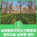 신전앵간다숲
