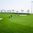 골프드래곤 이미지