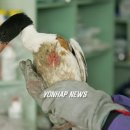 김신환동물병원 이미지