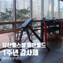 당산공원점크린토피아 | 당산 헬스장 어반필드 헬린이 운동 루틴