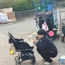 경기도 수원시 장안구 수성로275번길 | [주간일기] 26년 4월 두 번째 주간일기