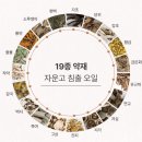 벨하이솝 이미지