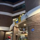 아일랜드 스크린 | [춘천] 춘천 핫플레이스 감자아일랜드 다녀온 솔직후기 :)