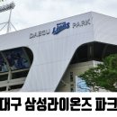 파파손만두 | 대구 삼성라이온즈파크 직관 후기 | 3루 SKY 블루존 응원석 U-21구역 23열 통로 시야 후기