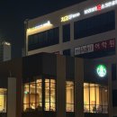 스타벅스 프리퀀시 램프 보나키아 T 화이트 당일예약 수령후기!! (예쁨주의)