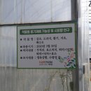 대강농장 이미지