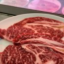 엄지목장 이미지