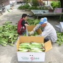 달빛소리마을 이미지