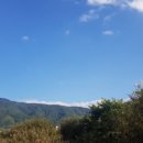 신장소류지 이미지