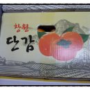 신용단감