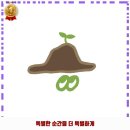 광양중앙초등학교 | 약사명동 맛집 어쩌다농부 춘천명동점 가격 및 후기 추천 리뷰 주차 예약 알아봐요