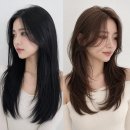 에이바헤어 시립대점